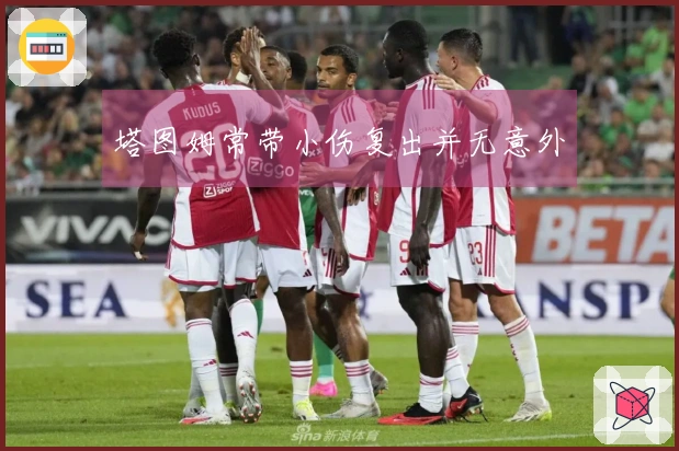 塔图姆常带小伤复出并无意外