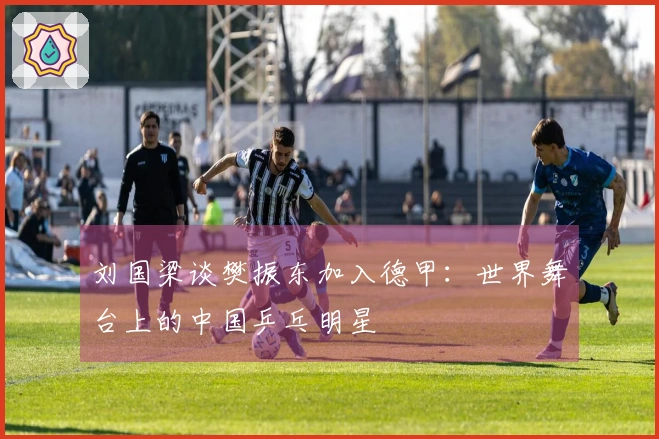刘国梁谈樊振东加入德甲：世界舞台上的中国乒乓明星