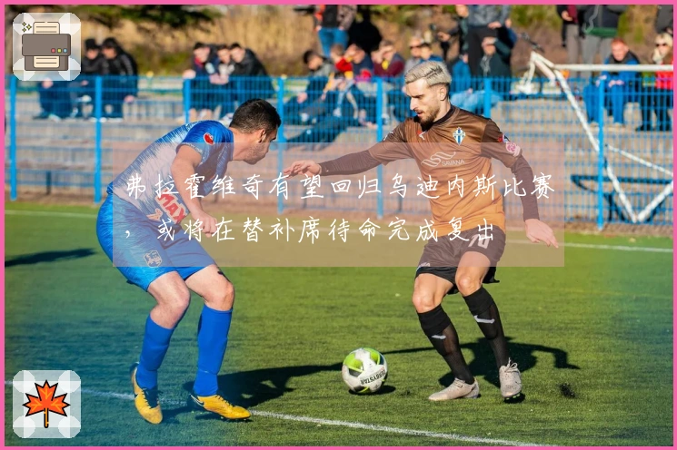 弗拉霍维奇有望回归乌迪内斯比赛，或将在替补席待命完成复出