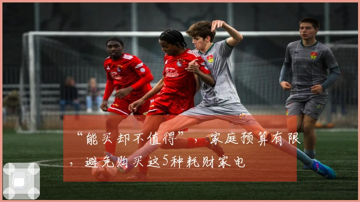 “能买却不值得”，家庭预算有限，避免购买这5种耗财家电